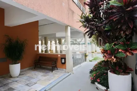 Apartamento com 3 Quartos à venda, 64m² no Silveira, Belo Horizonte