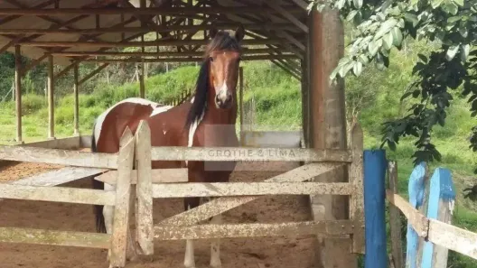 Fazenda/Sítio com 1 Quarto à venda, 250m² no , Monteiro Lobato