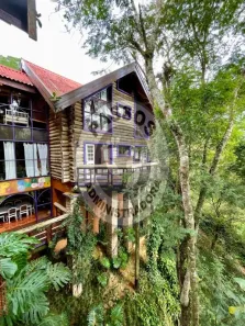 Casa com 5 Quartos à venda, 4010m² no Golfe, Teresópolis