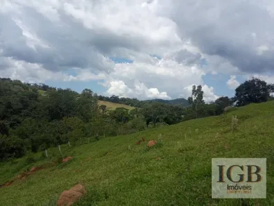 Fazenda/Sítio com 2 Quartos à venda, 65000m² no , Pinhalzinho