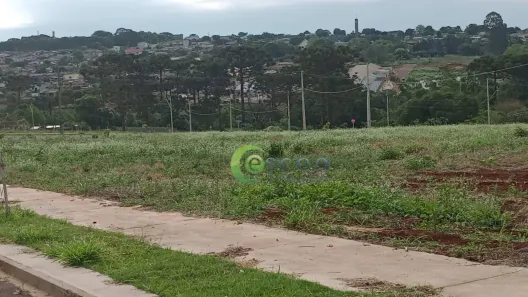 Lote/Terreno à venda, 175m² no Floresta, Cascavel