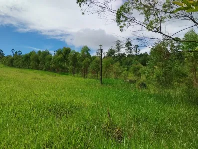 Fazenda/Sítio à venda, 96800m² no , Piracaia