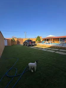 Casa com 4 Quartos à venda, 250m² no , Paraipaba