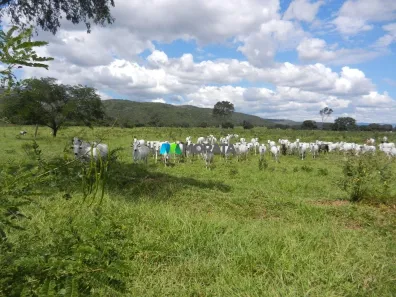 Fazenda/Sítio com 1 Quarto à venda, 1033m² no Zona Rural, Bocaiúva