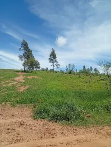 Lote/Terreno à venda, 70000m² no Centro, São Manuel
