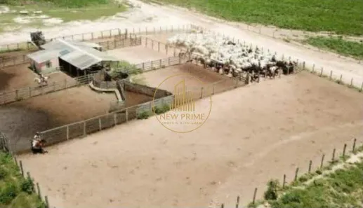 Fazenda/Sítio com 3 Quartos à venda, 178m² no Centro, Baianópolis