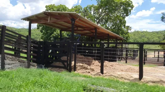 Fazenda/Sítio com 3 Quartos à venda, 136m² no , Crixás