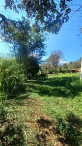 Fazenda/Sítio à venda, 110000m² no Centro, São José da Bela Vista