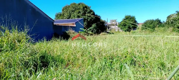 Lote/Terreno à venda, 350m² no Jardim Guaraú, Peruíbe