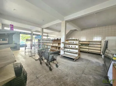 Galpão/Depósito/Armazém à venda, 564m² no Jardim Ivana, São Paulo