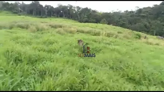 Fazenda/Sítio com 1 Quarto à venda, 1210000m² no Novo Horizonte, Espigão D'Oeste