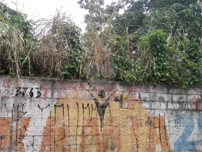 Lote/Terreno à venda, 320m² no Barro Branco (Zona Norte), São Paulo