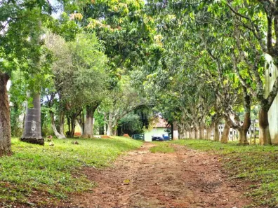 Fazenda/Sítio com 5 Quartos para alugar, 385m² no Bairro do Rio Abaixo, Jarinu