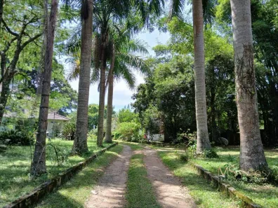 Fazenda/Sítio com 4 Quartos à venda, 327m² no Ratones, Florianópolis