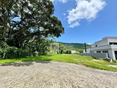 Lote/Terreno à venda, 3149m² no Ratones, Florianópolis