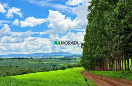 Fazenda/Sítio com 7 Quartos à venda, 120m² no , Pains