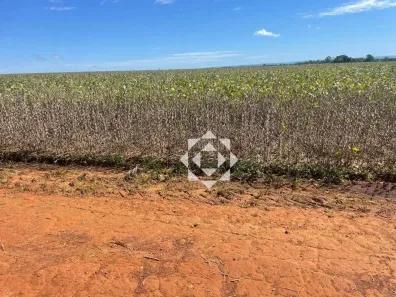 Fazenda/Sítio à venda, 14000000m² no Luzimangues, Porto Nacional