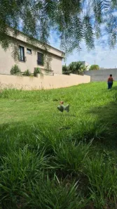 Lote/Terreno à venda, 443m² no Loteamento Terras de Florença, Ribeirão Preto