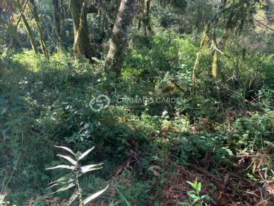 Lote/Terreno à venda, 760m² no Quinta da Serra, Canela