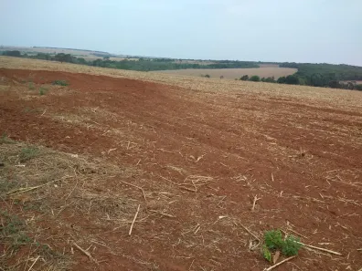 Fazenda/Sítio com 3 Quartos à venda, 31m² no , Ipameri