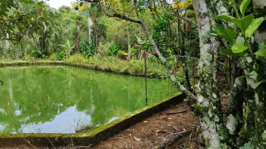 Fazenda/Sítio com 2 Quartos à venda, 5185m² no Centro, Matias Barbosa
