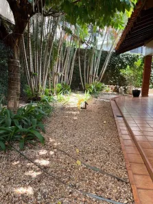 Imóvel Comercial com 3 Quartos para venda ou aluguel, 260m² no Jardim Panorama, São José do Rio Preto