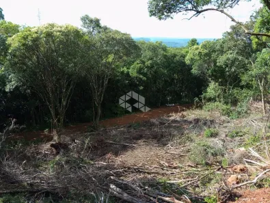 Fazenda/Sítio à venda, 20000m² no Dos Boêmios, Nova Petrópolis