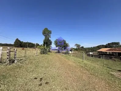 Fazenda/Sítio com 4 Quartos à venda, 800m² no Centro, Botucatu