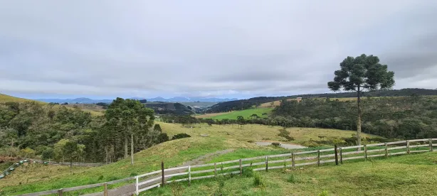 Fazenda/Sítio com 4 Quartos à venda, 20000m² no Demoras, Alfredo Wagner