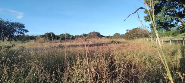Fazenda/Sítio à venda, 10000m² no Santa Maria, Brasília