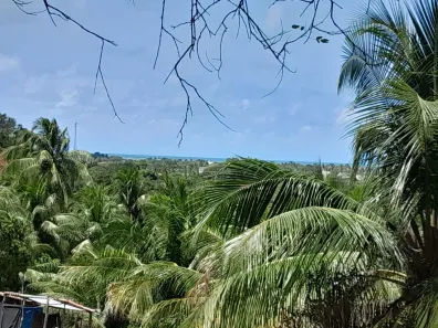 Imóvel Comercial com 27 Quartos à venda, 2500m² no Alto de São Marcos, Barra de São Miguel