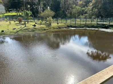 Fazenda/Sítio com 3 Quartos à venda, 5452m² no , Tijucas do Sul