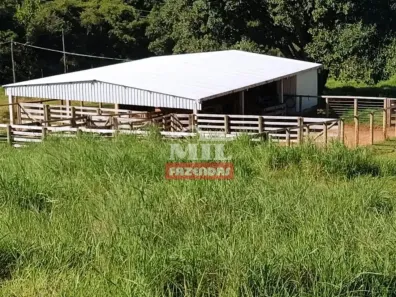 Fazenda/Sítio à venda, 500m² no , Bom Jardim de Goiás