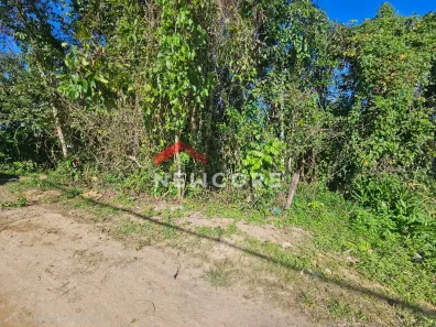 Lote/Terreno à venda, 125m² no Balneário dos Golfinhos, Caraguatatuba
