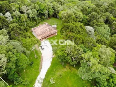 Fazenda/Sítio com 2 Quartos à venda, 240m² no Centro, Campo Largo
