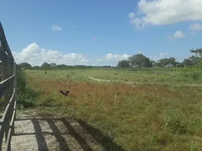 Fazenda/Sítio com 3 Quartos à venda, 960000m² no , Vera Cruz