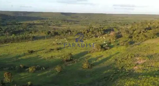 Fazenda/Sítio à venda, 196m² no , Entre Rios