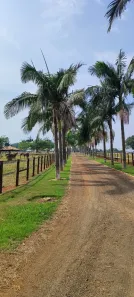 Fazenda/Sítio com 5 Quartos à venda, 2200m² no Área Rural de Tatuí, Tatuí