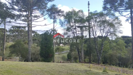 Lote/Terreno à venda, 400m² no Centro, São Francisco de Paula