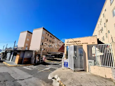 Apartamento com 2 Quartos à venda, 44m² no Vila Padre Manoel de Nóbrega, Campinas