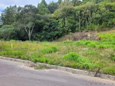 Lote/Terreno à venda, 316m² no Desvio Rizzo, Caxias do Sul