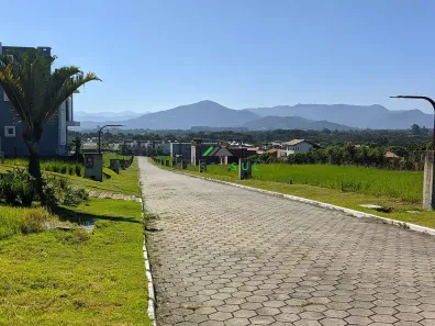 Lote/Terreno à venda, 236m² no , 