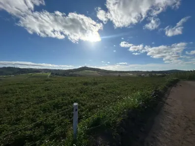 Lote/Terreno à venda, 500m² no Recreio Topázio (Caucaia do Alto), Cotia
