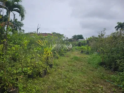 Lote/Terreno à venda, 600m² no Balneário Praia do Pernambuco, Guarujá