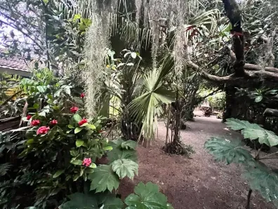 Lote/Terreno à venda, 4216m² no Ribeirão da Ilha, Florianópolis