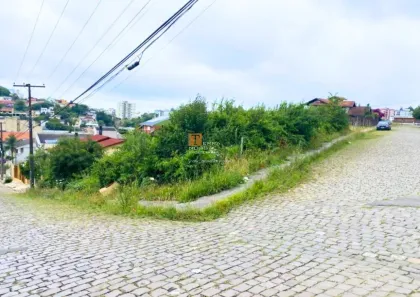 Lote/Terreno à venda, 502m² no Sanvitto, Caxias do Sul