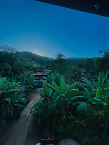 Fazenda/Sítio com 4 Quartos à venda, 384852m² no Pedra Branca, Ipatinga