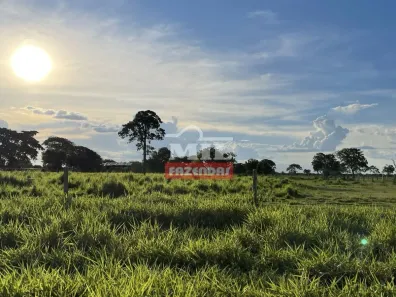 Fazenda/Sítio à venda, 500m² no , Cocalinho