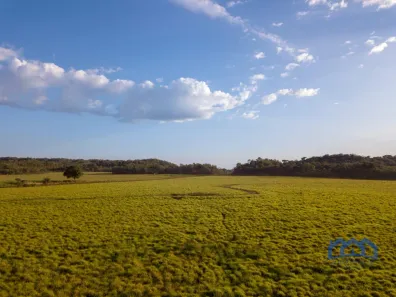 Fazenda/Sítio com 1 Quarto à venda, 188760000m² no Área Rural de Palmas, Palmas
