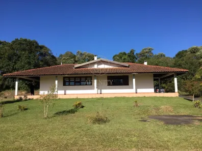Fazenda/Sítio com 3 Quartos à venda, 24200m² no Área Rural Mandirituba, Mandirituba